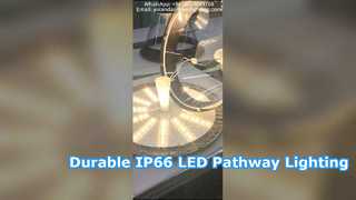 Luce da cortile a led impermeabile IP66 con alluminio pressofuso utilizzato nei parchi.