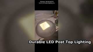 Lampada da giardino a led 60W 4000K con braccio singolo IP66 IK10 utilizzata in parchi e strade urbane.