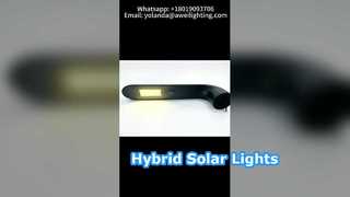 Lampione stradale solare con pannello solare rotondo da 200 W utilizzato nelle strade urbane.