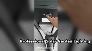 Lampada solare da giardino da 50 W Nuovo design IP66 con 5 anni di garanzia utilizzata nelle strade.