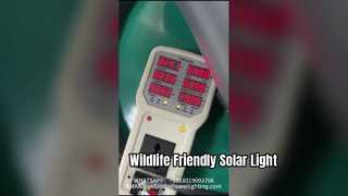 Lampada da giardino con luce superiore da 50 W ad alta efficienza utilizzata in parchi e strade.