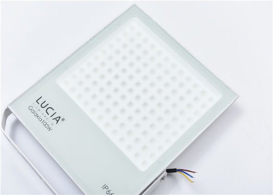 I 120 volt bianco di 100w 130lm/W hanno condotto le luci di inondazione all'aperto