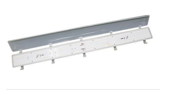 comprare lampade principali impermeabili di 40W 50W IP65 1200mm per la stazione ferroviaria online manufacture