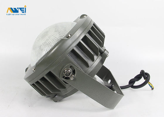 comprare Livello principale protetto contro le esplosioni IP66 85-265V di protezione di 100 luci di watt per le posizioni bagnate online manufacture