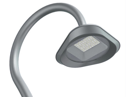 30W-100W Lampade a LED per giardini in alluminio 3000K per l'illuminazione del paesaggio utilizzato in giardini, parchi e attrazioni turistiche