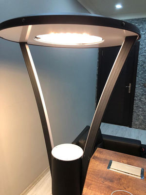 Lampade da giardino a LED a bassa tensione Materiale di alluminio 50 Watt Lampade da giardino a LED Lampade da giardino CE, RoHS Approved Lampade da paesaggio