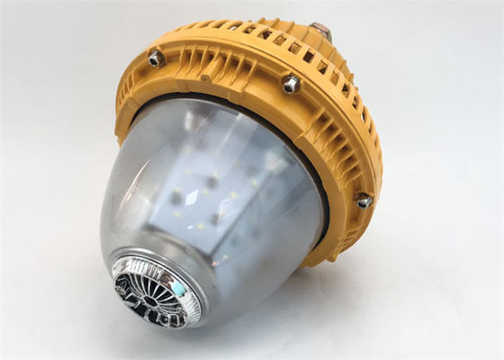 luce protetta contro le esplosioni di 40W LED altamente luminosa per posizioni pericolose/bagnate